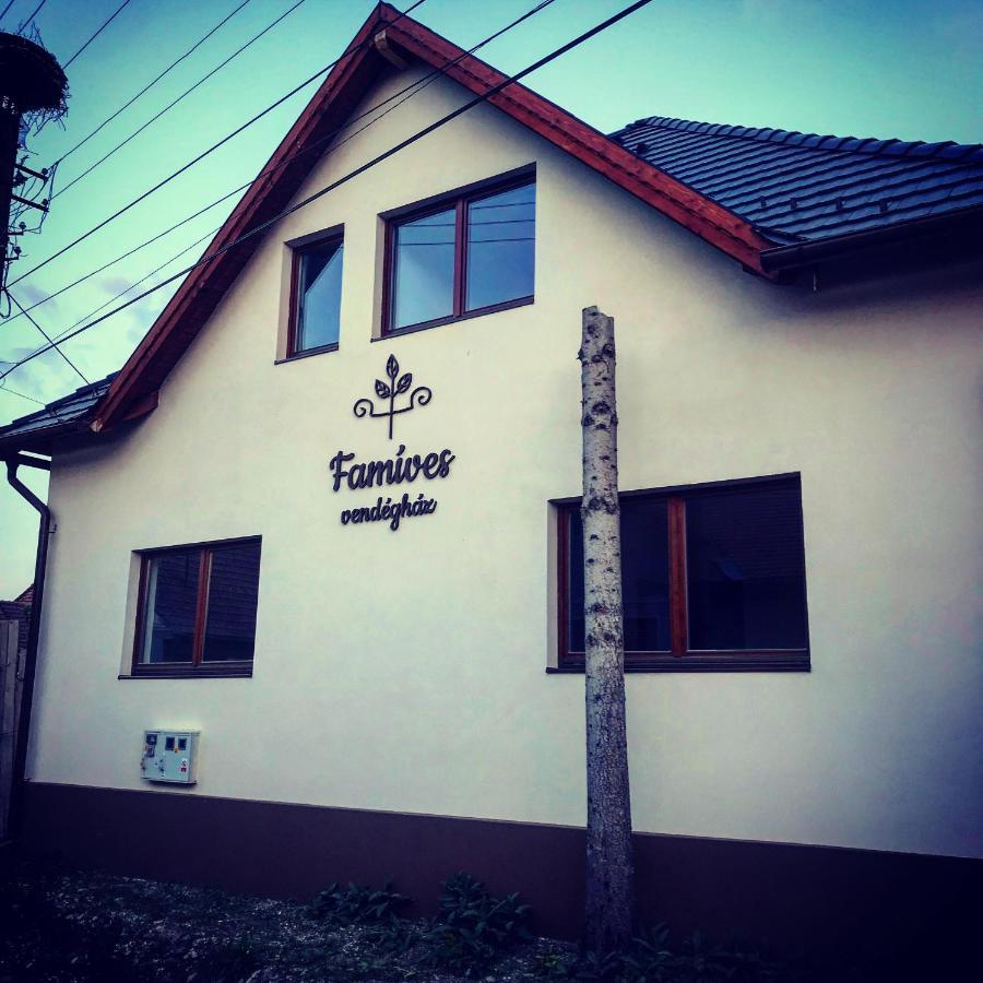 Famives Vendeghaz Bed and Breakfast Racul Buitenkant foto