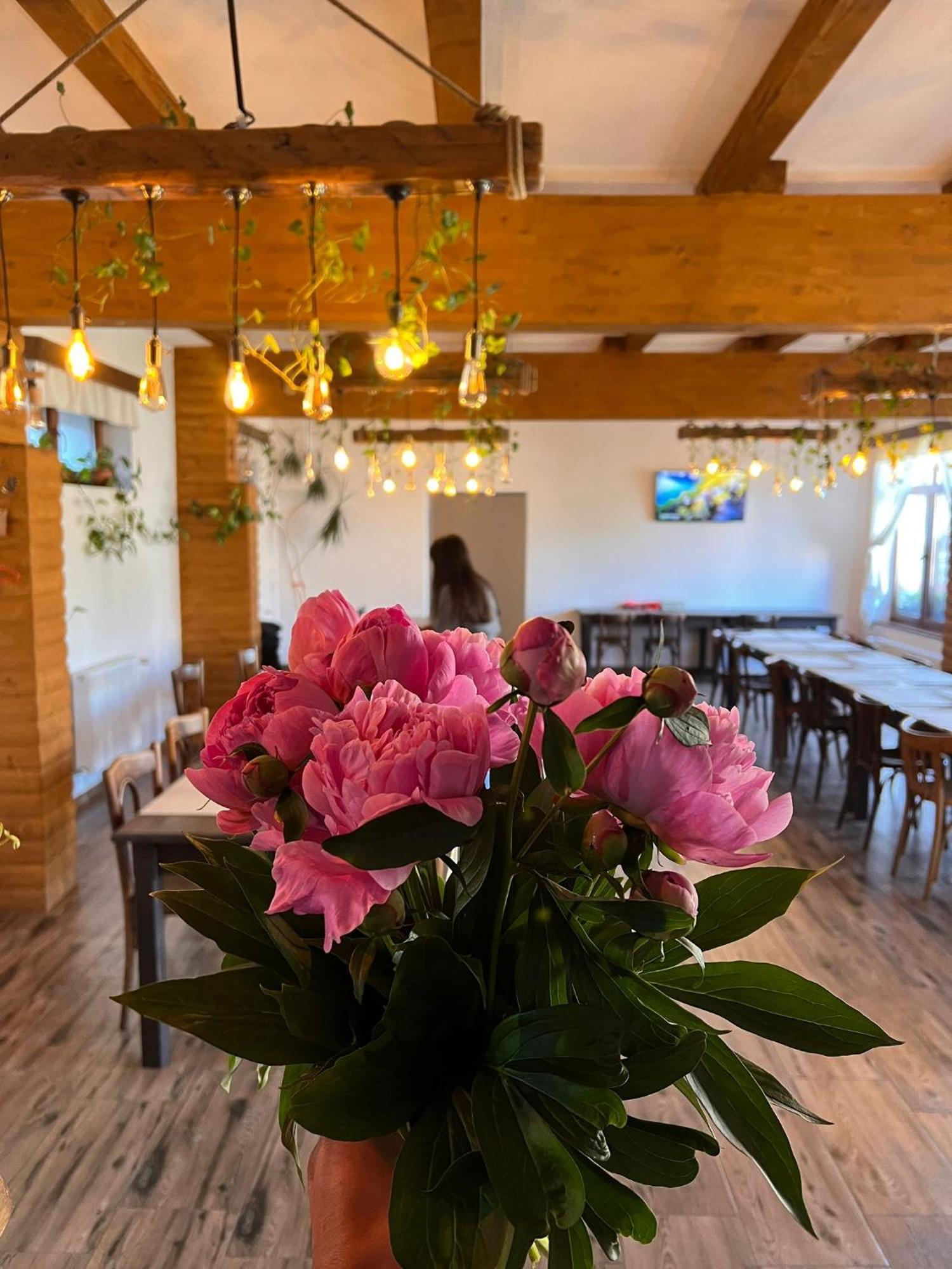Famives Vendeghaz Bed and Breakfast Racul Buitenkant foto